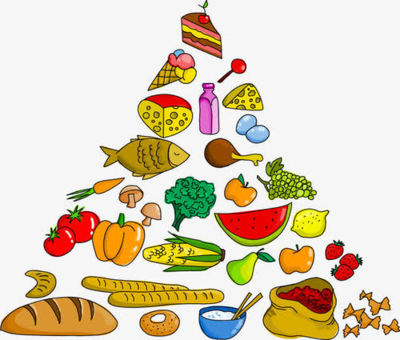 食物金字塔,解开瓜果蔬菜中的免疫密码
